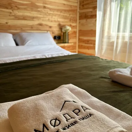 модра * Рибник